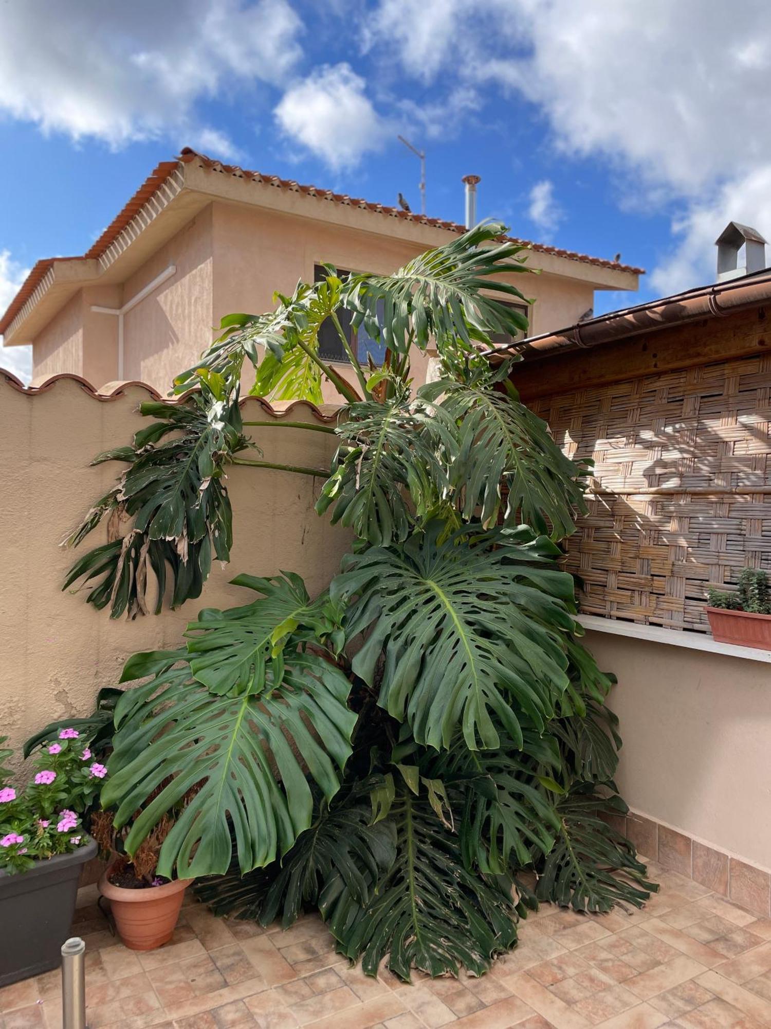 40° Parallelo Guest House Riola Sardo Exterior photo